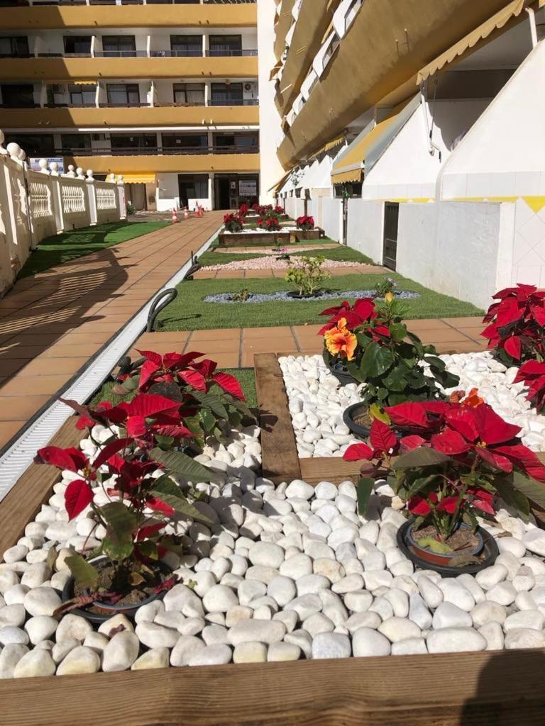 Yumbo Beach Apartment 2 With High Speed Free Internet San Bartolomé Dış mekan fotoğraf